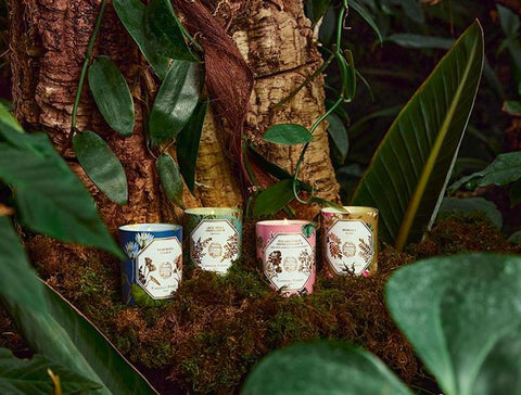 Scent Your Space Sale