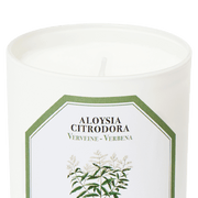 's Carrière Frères Verbana Aloysia Citrodora Candle - Bellini's Skin and Parfumerie 