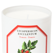 's Carrière Frères Tomato (Lycopersicon Esculentum) Candle - Bellini's Skin and Parfumerie 