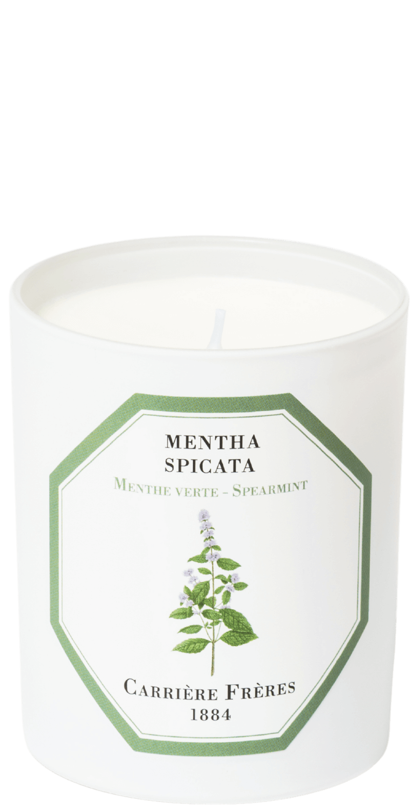 's Carrière Frères Spearmint Mentha Spicata Candle - Bellini's Skin and Parfumerie 