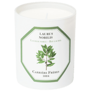 Carrière Frères Bay Laurel Candle