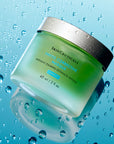 SkinCeuticals Phyto Corrective Masque - Bellini's Skin and Parfumerie